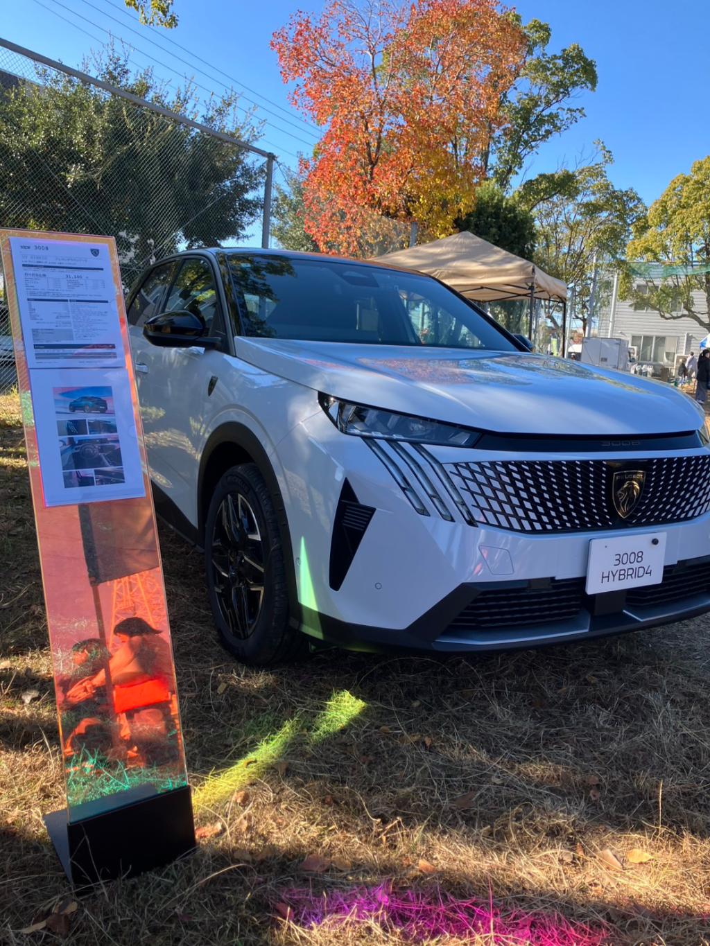 展示会初参加🎄