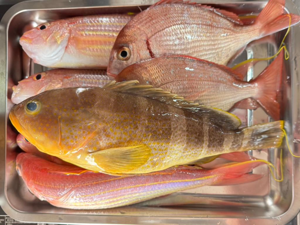  2025年釣り納め🎣