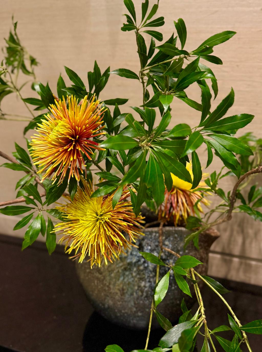 丁寧丁寧丁寧に走ると♪