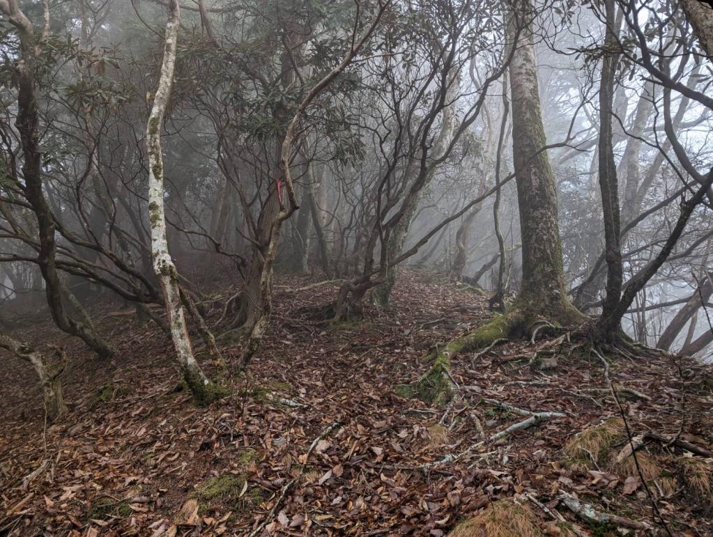 人生初の赤星山