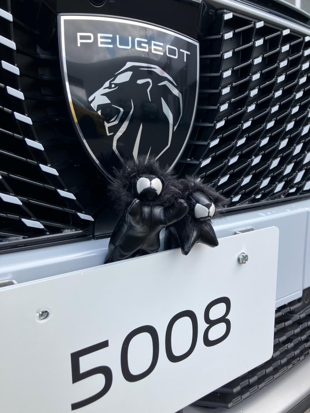 NEW5008HYBRIDデビュー✨