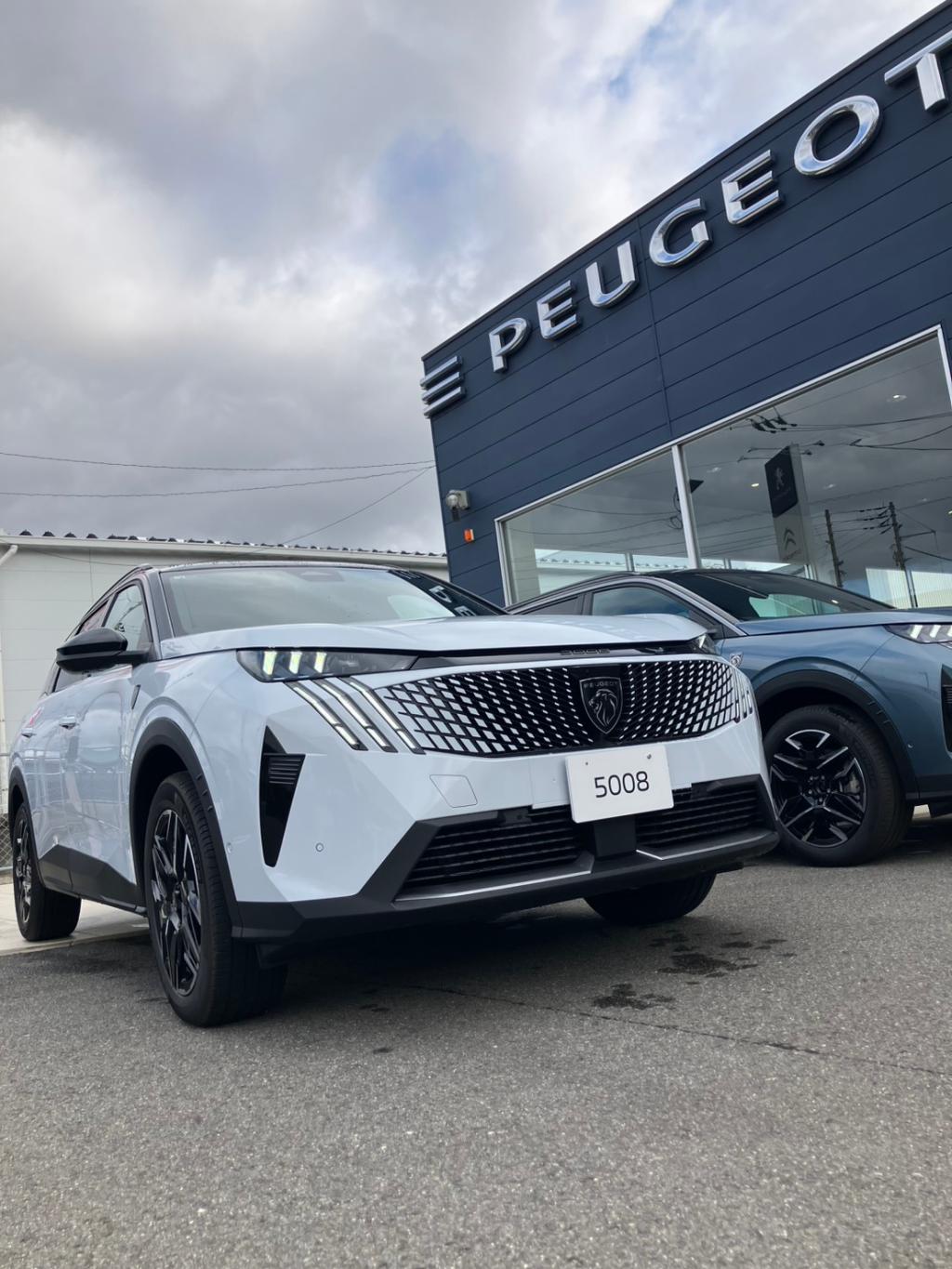 NEW5008HYBRID🇫🇷