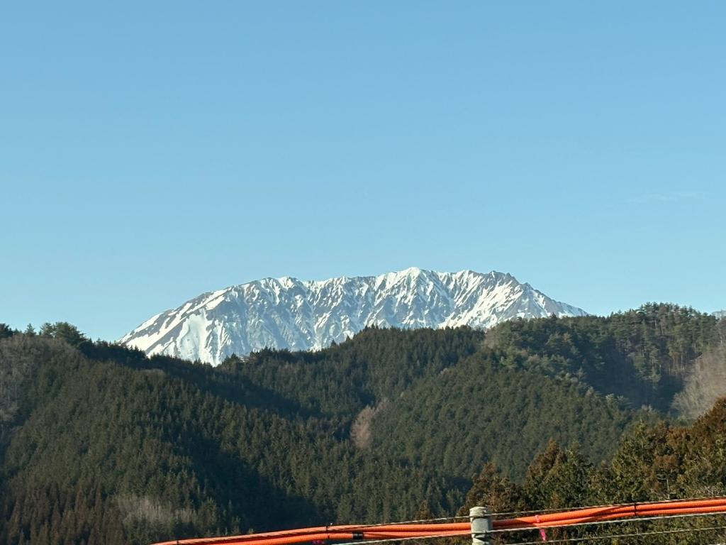 ３月も半月が経ちました