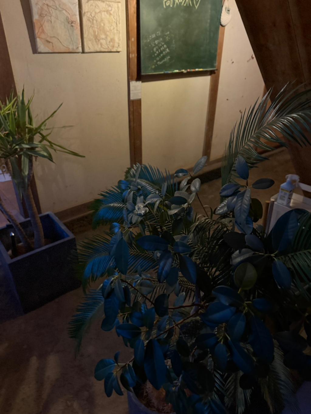 前に進むという事