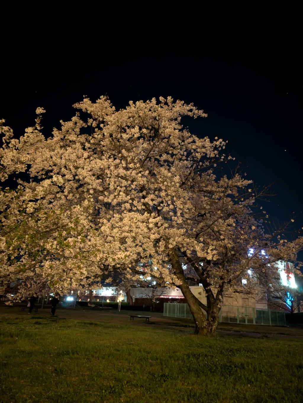 休日の過ごし方♪