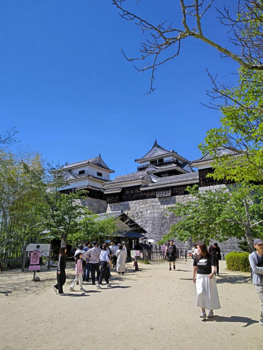 恋する庭園2026🪷