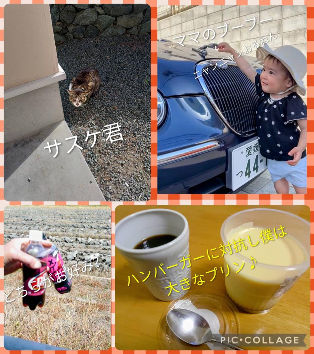姿を変えて現れる？？
