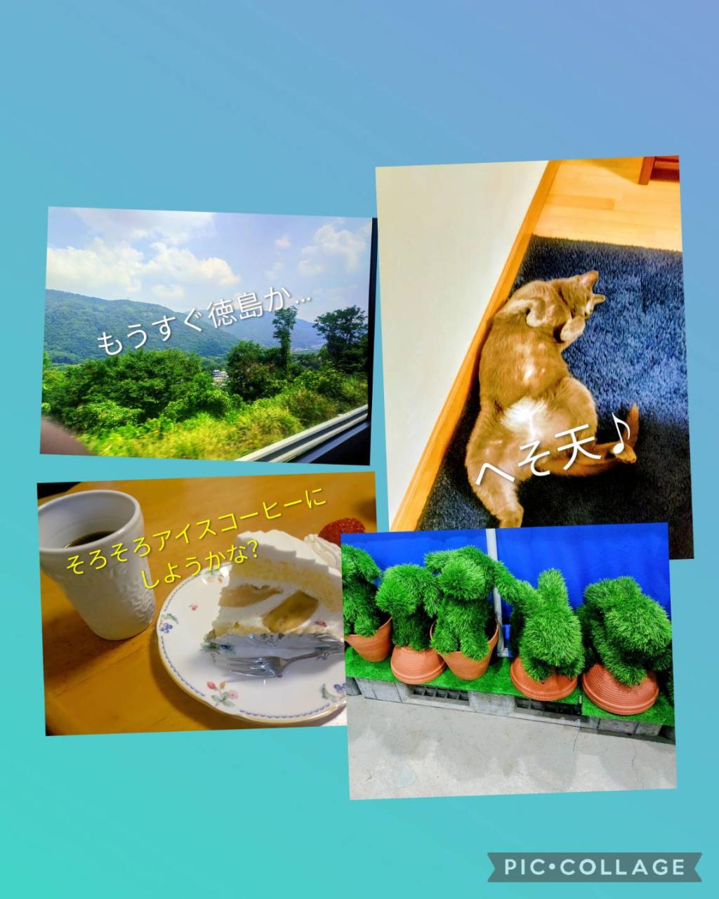 ひとり旅