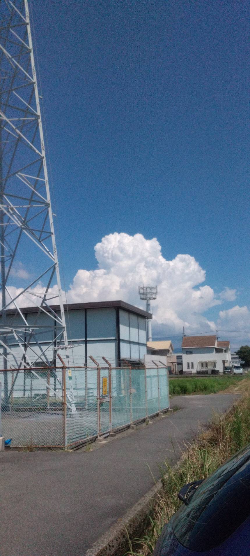 夏の残り