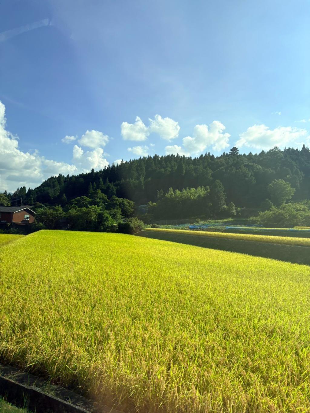 今日から９月です