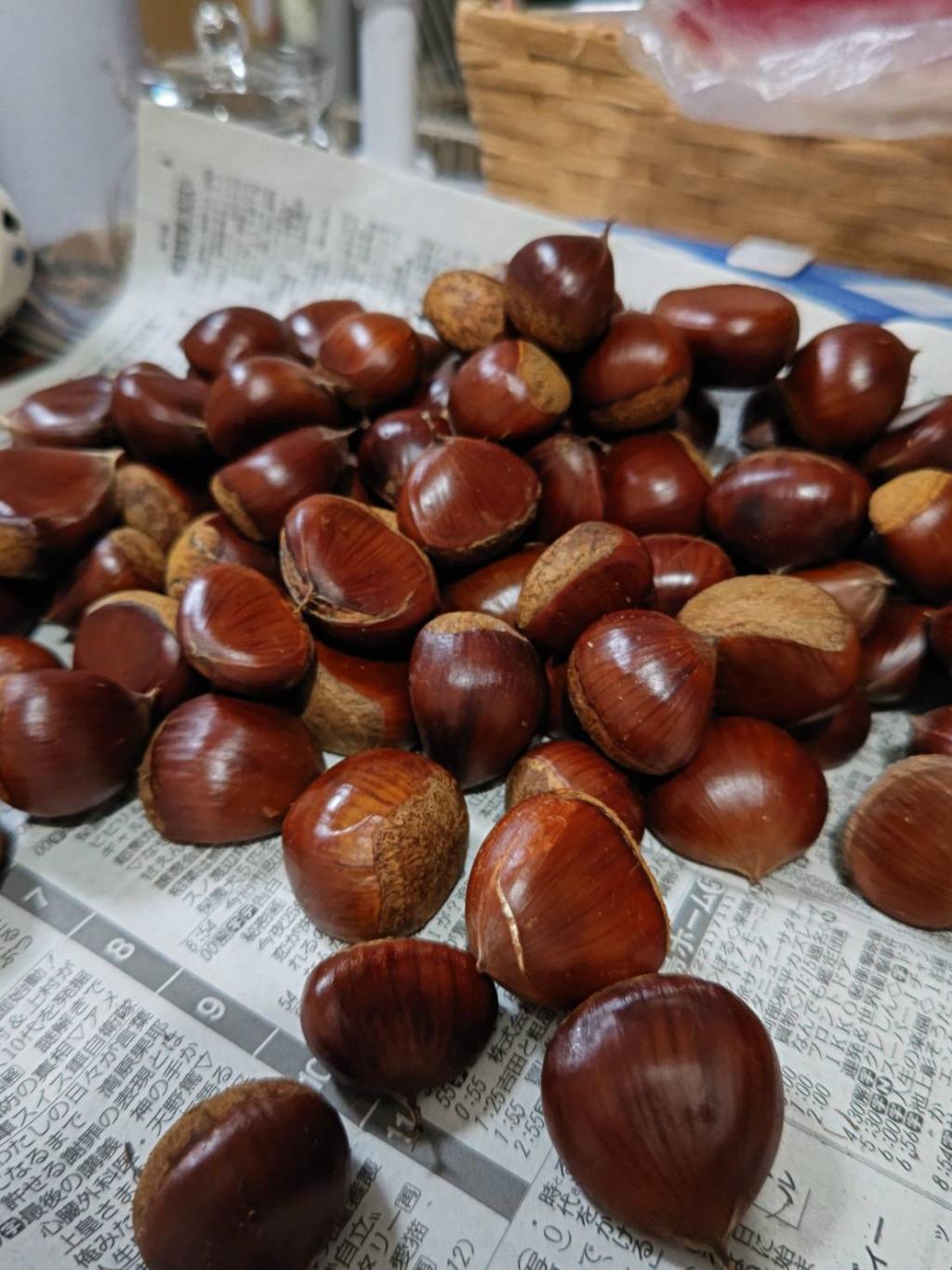 食欲の秋🍁
